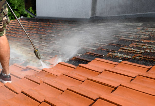 Best Exterior Home Cleaning  in King Arthur Park, MT